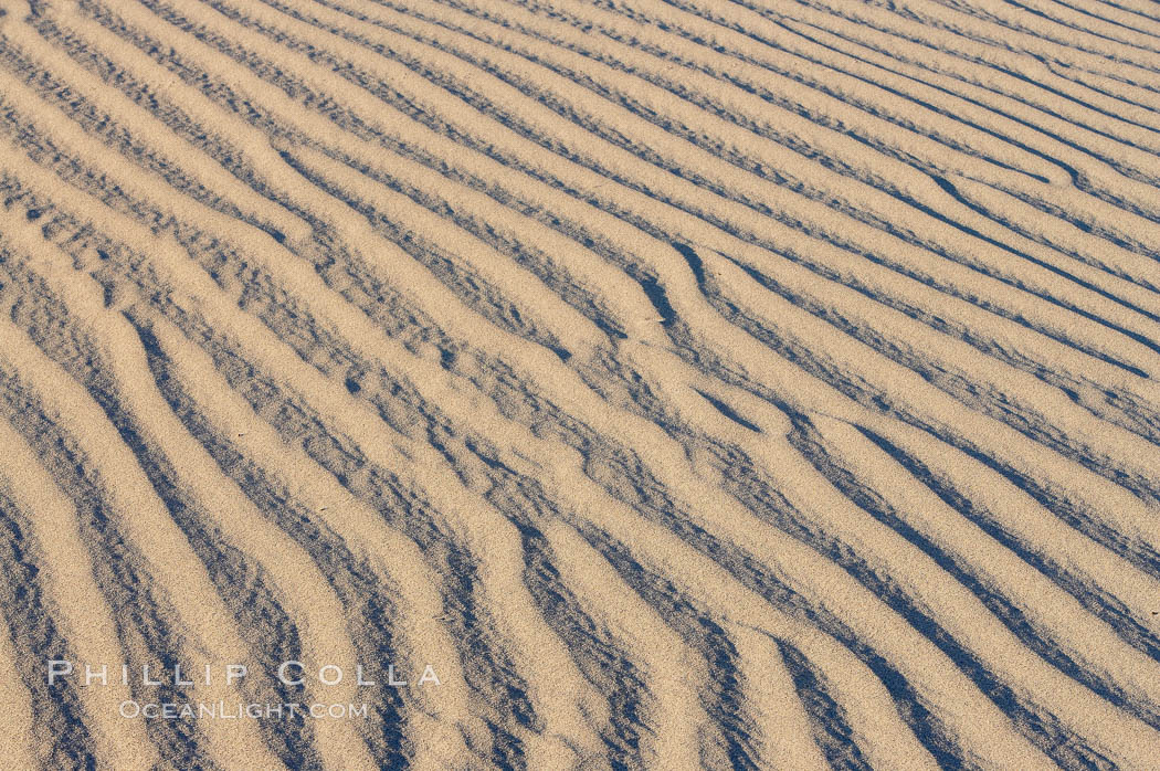 Ripples in sand dunes at sunset, California.  Winds reshape the dunes each day.  Early morning walks among the dunes can yield a look at sidewinder and kangaroo rats tracks the nocturnal desert animals leave behind. Stovepipe Wells, Death Valley National Park, USA, natural history stock photograph, photo id 15630