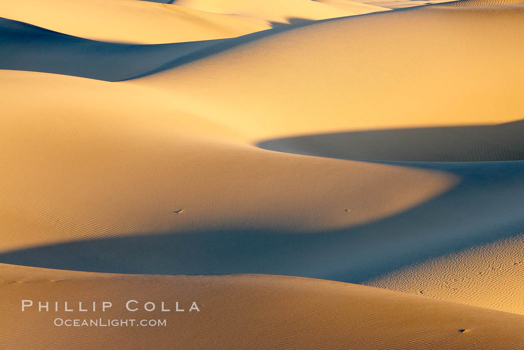 Sand Dunes, California.  Near Stovepipe Wells lies a region of sand dunes, some of them hundreds of feet tall. Death Valley National Park, USA, natural history stock photograph, photo id 15608