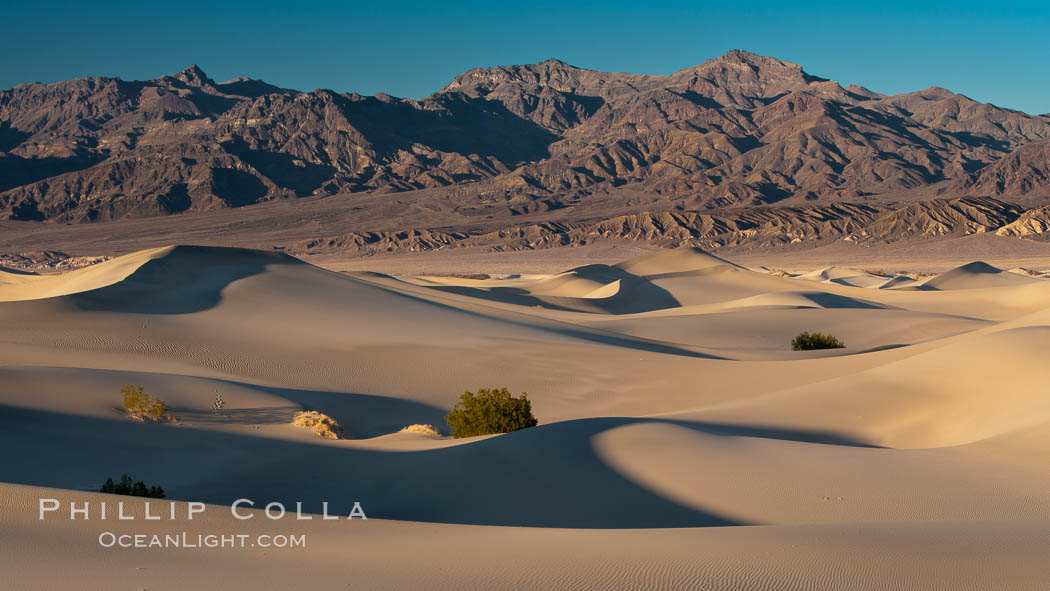 Sand Dunes and the Grapevine Mountains, California.  Near Stovepipe Wells lies a region of sand dunes, some of them hundreds of feet tall. Death Valley National Park, USA, natural history stock photograph, photo id 15640