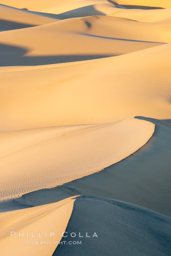 Sand Dunes, California.  Near Stovepipe Wells lies a region of sand dunes, some of them hundreds of feet tall. Death Valley National Park, USA, natural history stock photograph, photo id 15635