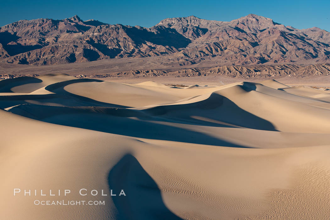 Sand Dunes and the Grapevine Mountains, California.  Near Stovepipe Wells lies a region of sand dunes, some of them hundreds of feet tall. Death Valley National Park, USA, natural history stock photograph, photo id 15639