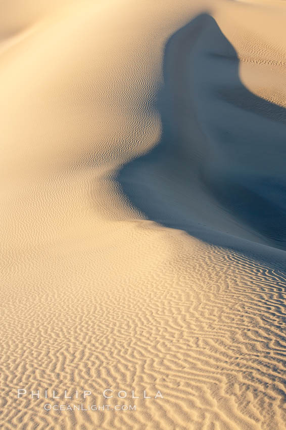 Sand Dunes, California.  Near Stovepipe Wells lies a region of sand dunes, some of them hundreds of feet tall. Death Valley National Park, USA, natural history stock photograph, photo id 15633