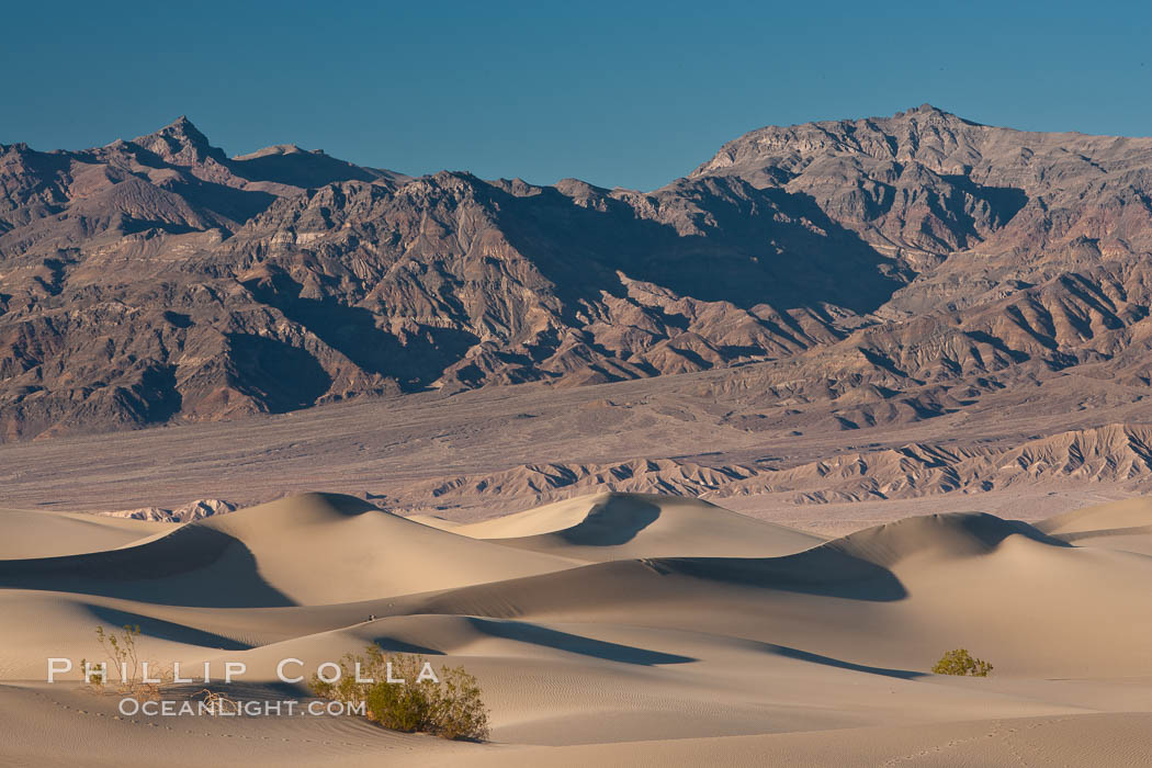 Sand Dunes and the Grapevine Mountains, California.  Near Stovepipe Wells lies a region of sand dunes, some of them hundreds of feet tall. Death Valley National Park, USA, natural history stock photograph, photo id 15637