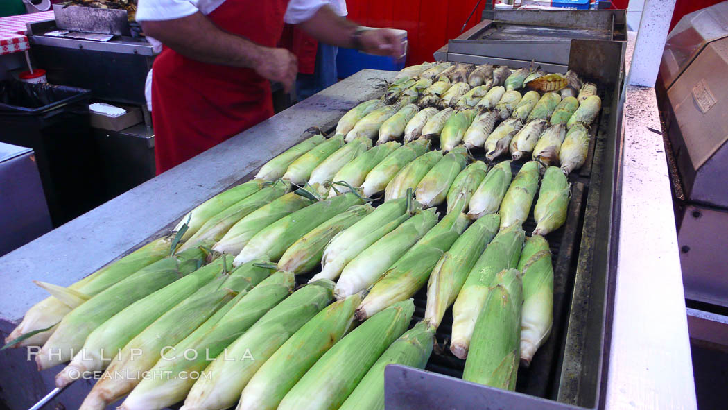 Grilled corn, corn cobs. Del Mar Fair, California, USA, natural history stock photograph, photo id 20863