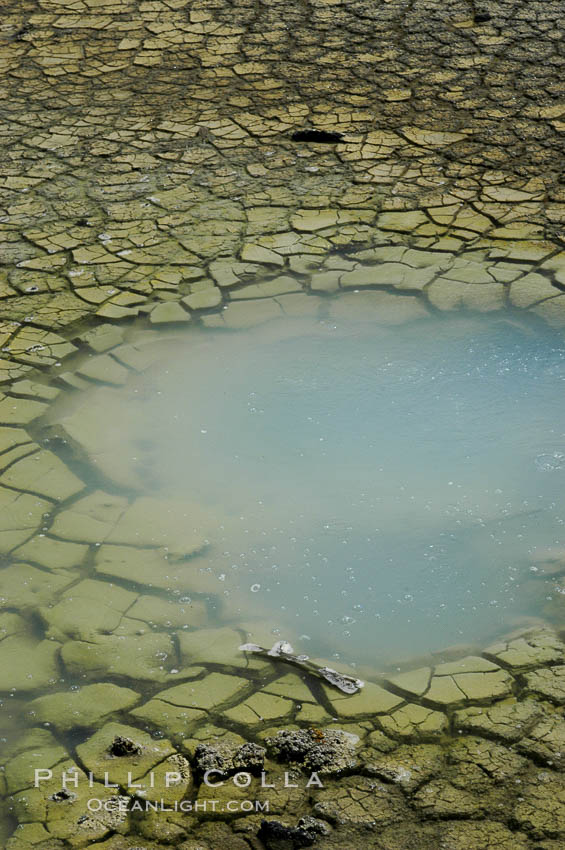 Dessicated mud near the Dragons Cauldron, Mud Volcano area. Yellowstone National Park, Wyoming, USA, natural history stock photograph, photo id 07312