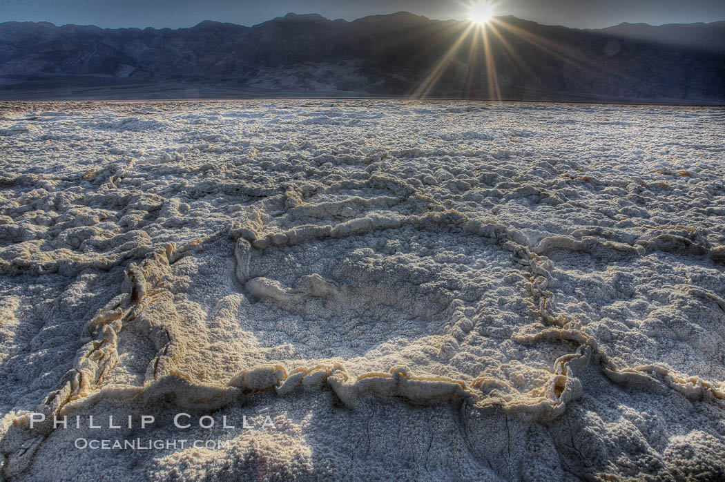 Devils Golf Course. Evaporated salt has formed into gnarled, complex crystalline shapes on the salt pan of Death Valley National Park, one of the largest salt pans in the world.  The shapes are constantly evolving as occasional floods submerge the salt concretions before receding and depositing more salt. California, USA, natural history stock photograph, photo id 20600