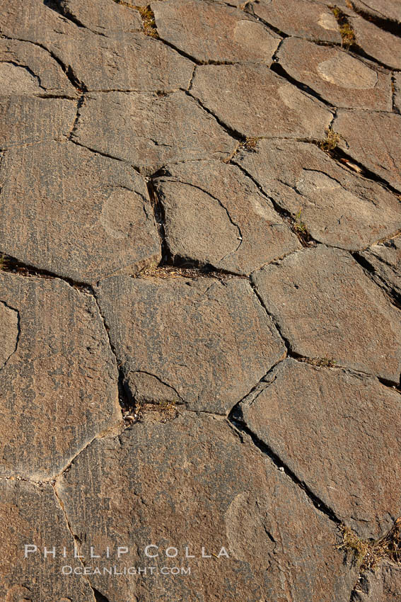 Devil's Postpile, a spectacular example of columnar basalt.  Once molten and under great pressure underground, the lava that makes up Devil's Postpile cooled evenly and slowly, contracting and fracturing into polygonal-sided columns.  The age of the formation is estimated between 100 and 700 thousand years old.  Sometime after the basalt columns formed, a glacier passed over the formation, cutting and polishing the tops of the columns.  The columns have from three to seven sides, varying because of differences in how quickly portions of the lava cooled. Devils Postpile National Monument, California, USA, natural history stock photograph, photo id 23284