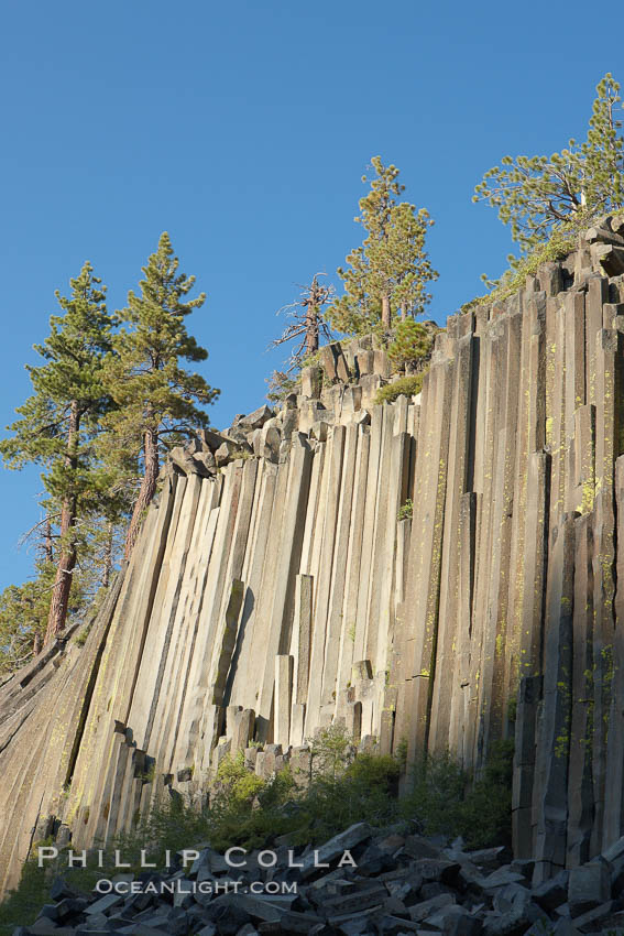 Devil's Postpile, a spectacular example of columnar basalt.  Once molten and under great pressure underground, the lava that makes up Devil's Postpile cooled evenly and slowly, contracting and fracturing into polygonal-sided columns.  The age of the formation is estimated between 100 and 700 thousand years old.  Sometime after the basalt columns formed, a glacier passed over the formation, cutting and polishing the tops of the columns.  The columns have from three to seven sides, varying because of differences in how quickly portions of the lava cooled. Devils Postpile National Monument, California, USA, natural history stock photograph, photo id 23283