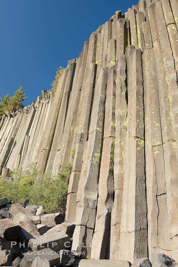 Devil's Postpile, a spectacular example of columnar basalt.  Once molten and under great pressure underground, the lava that makes up Devil's Postpile cooled evenly and slowly, contracting and fracturing into polygonal-sided columns.  The age of the formation is estimated between 100 and 700 thousand years old.  Sometime after the basalt columns formed, a glacier passed over the formation, cutting and polishing the tops of the columns.  The columns have from three to seven sides, varying because of differences in how quickly portions of the lava cooled. Devils Postpile National Monument, California, USA, natural history stock photograph, photo id 23285