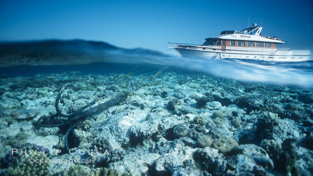 Dive boat anchors on the coral reef, Egyptian Red Sea., natural history stock photograph, photo id 36198