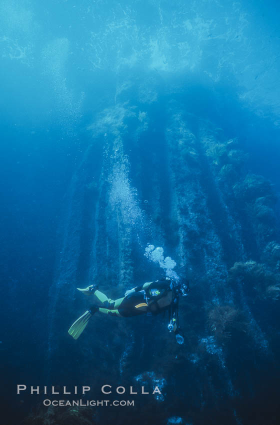 Basaltic columns, Los Arcos del Diablo. Guadalupe Island (Isla Guadalupe), Baja California, Mexico, natural history stock photograph, photo id 06188