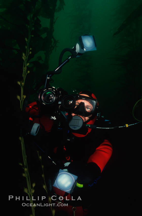 Diver and camera, Point Loma. San Diego, California, USA, natural history stock photograph, photo id 01486