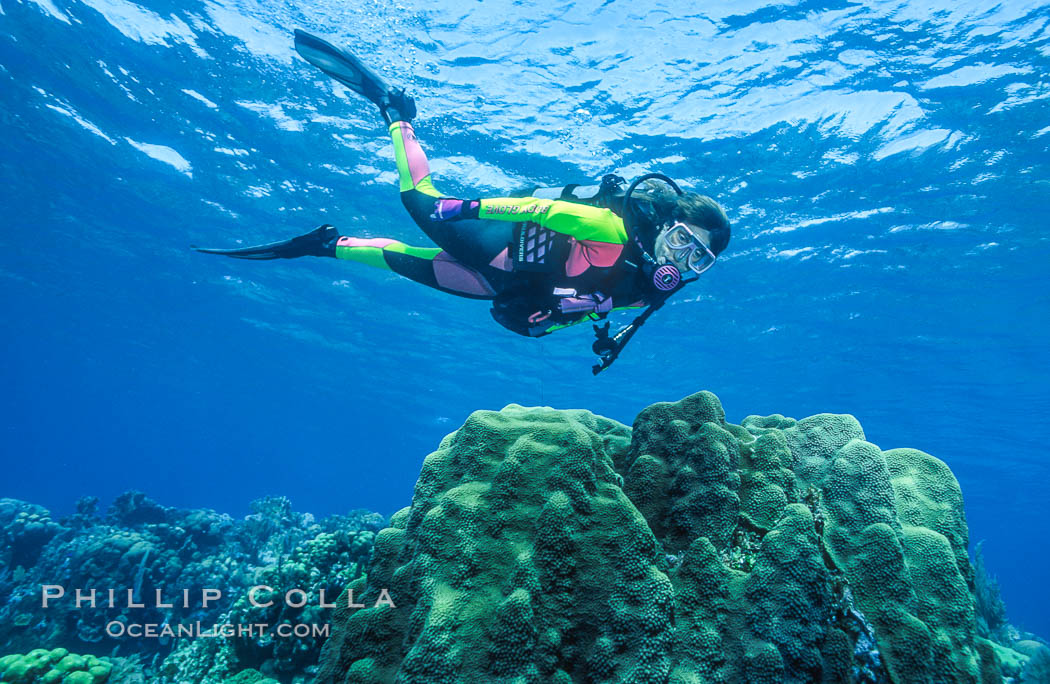 Diver and coral reef. Roatan, Honduras, natural history stock photograph, photo id 05709
