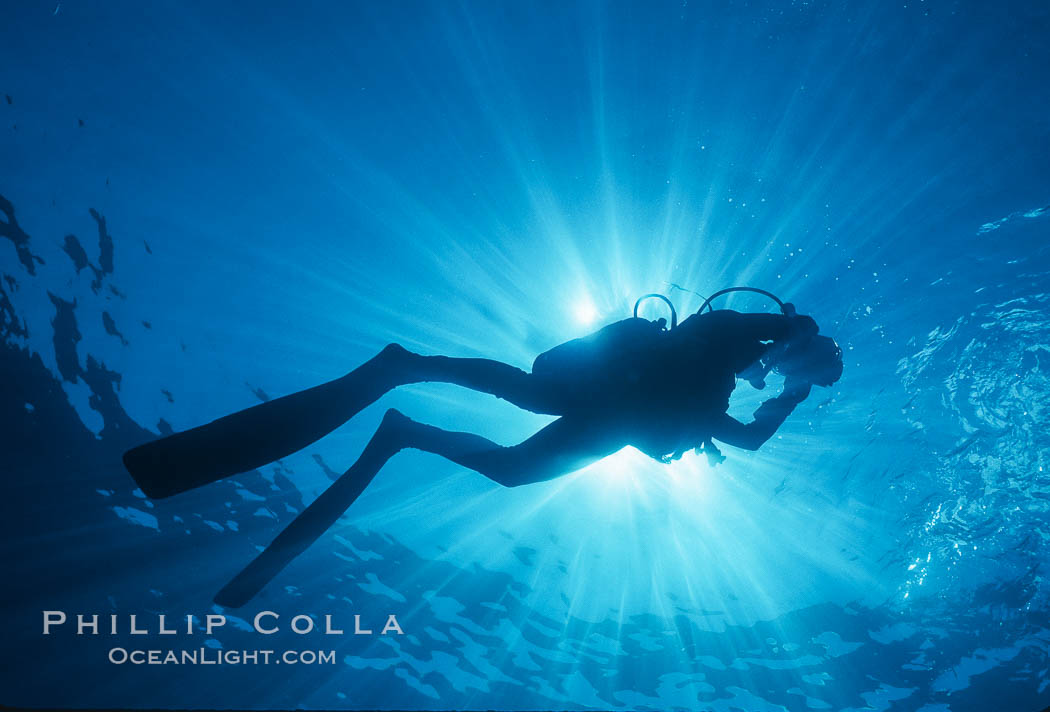 Diver and sunburst. Guadalupe Island (Isla Guadalupe), Baja California, Mexico, natural history stock photograph, photo id 04619