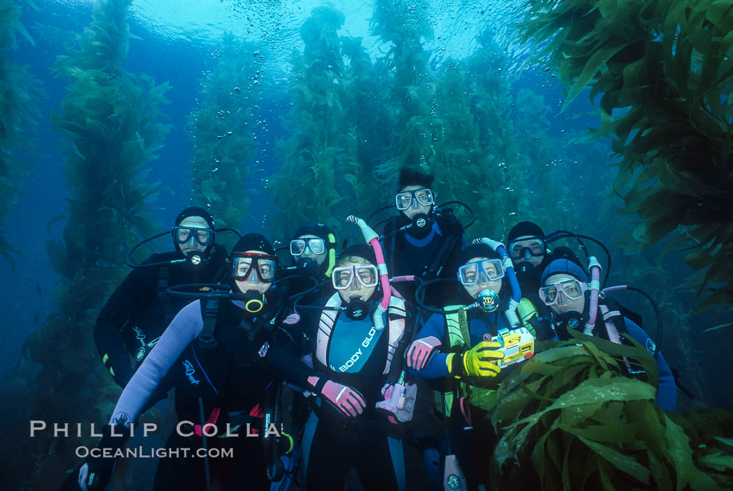Divers amidst kelp. San Clemente Island, California, USA, natural history stock photograph, photo id 01489