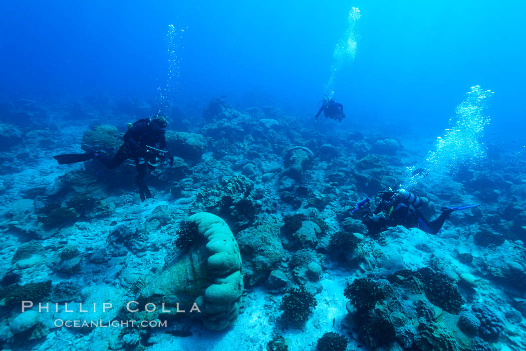 Divers over coral reef, Clipperton Island. France, natural history stock photograph, photo id 33016