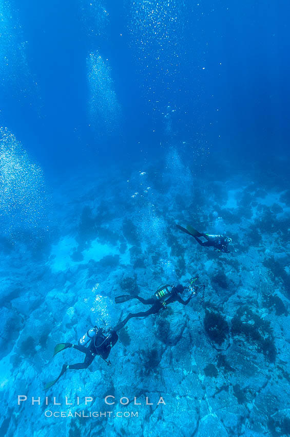 Divers swim over granite reef structure, Abalone Point. Guadalupe Island (Isla Guadalupe), Baja California, Mexico, natural history stock photograph, photo id 09554