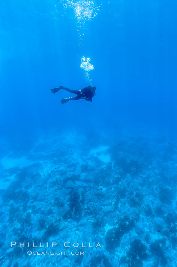 Divers swim over granite reef structure, Abalone Point. Guadalupe Island (Isla Guadalupe), Baja California, Mexico, natural history stock photograph, photo id 09552