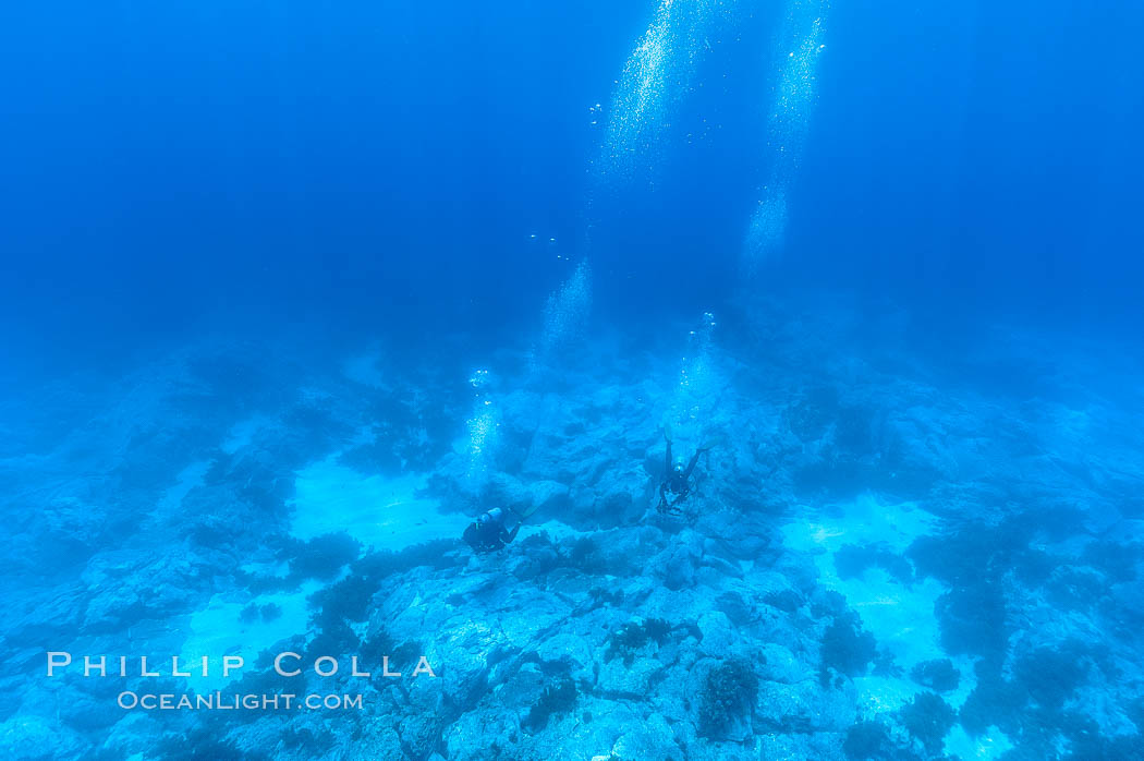 Divers swim over granite reef structure, Abalone Point. Guadalupe Island (Isla Guadalupe), Baja California, Mexico, natural history stock photograph, photo id 09553