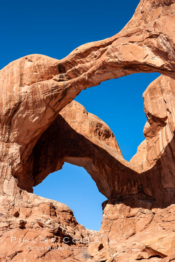 Double Arch, an amazing pair of natural arches formed in the red Entrada sandstone of Arches National Park. Utah, USA, natural history stock photograph, photo id 18177