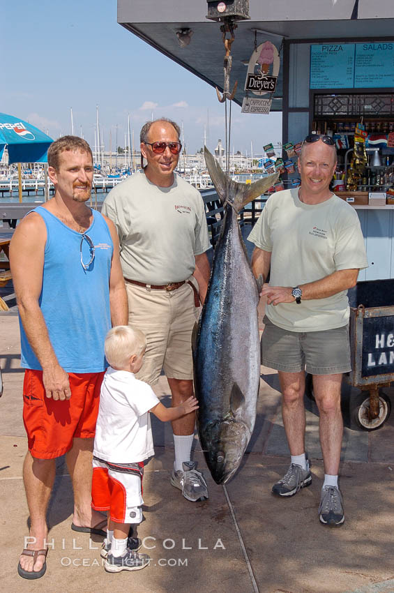 Doug Kuczkowski (left), Craig OConnor (center) and Joe Tobin (right) alongside OConnors pending spearfishing world record North Pacific yellowtail (77.4 pounds), taken on a breathold dive with a band-power speargun near Ba. H&M Landing, San Diego, California, USA, natural history stock photograph, photo id 09743