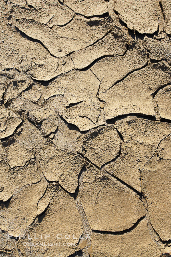 Dried mud, scorched earth, cracks from long-dried rain puddles., natural history stock photograph, photo id 20478