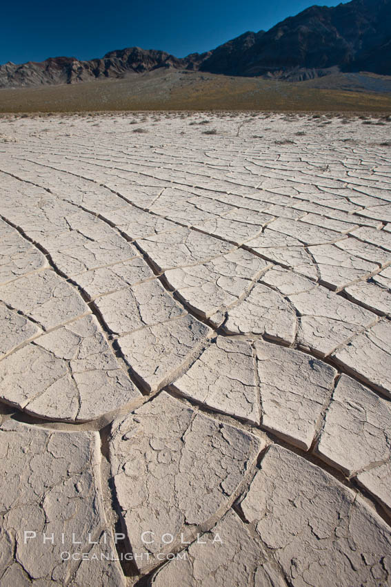 Dried mud, arid land, Eureka Valley. Death Valley National Park, California, USA, natural history stock photograph, photo id 25338