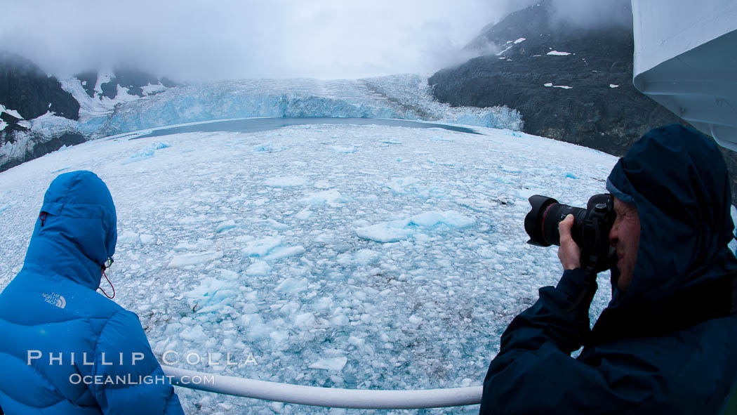 Drygalski Fjord, packed with brash ice which has broken away from the glacier at the end of the narrow fjord. South Georgia Island, natural history stock photograph, photo id 24698