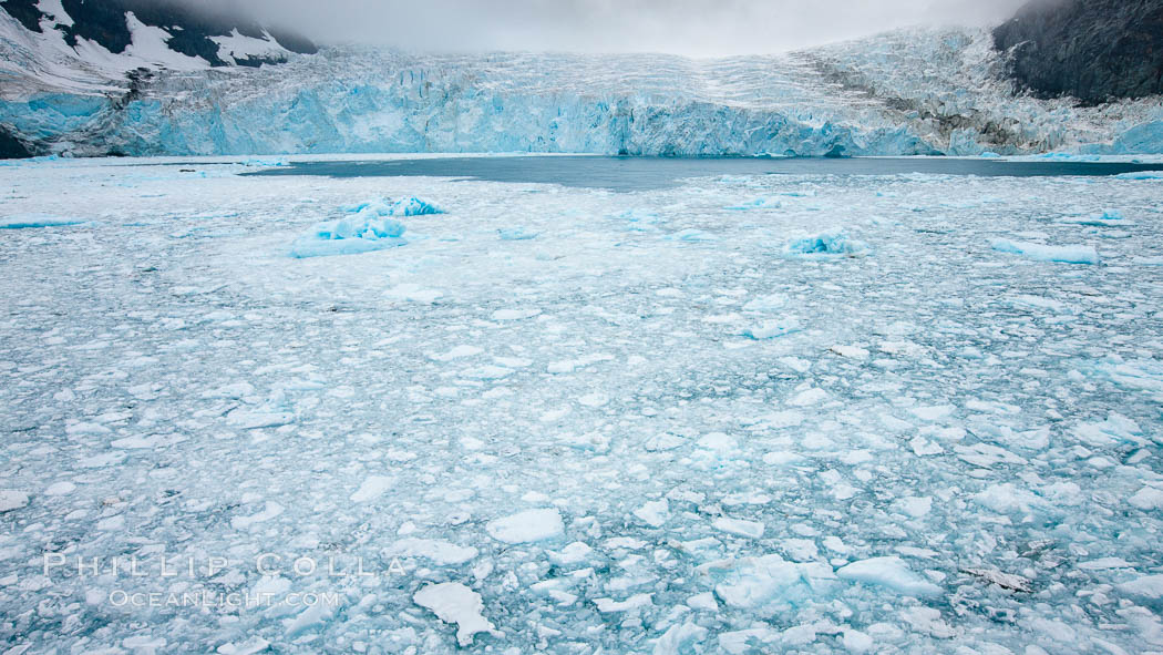 Drygalski Fjord, packed with brash ice which has broken away from the glacier at the end of the narrow fjord. South Georgia Island, natural history stock photograph, photo id 24742