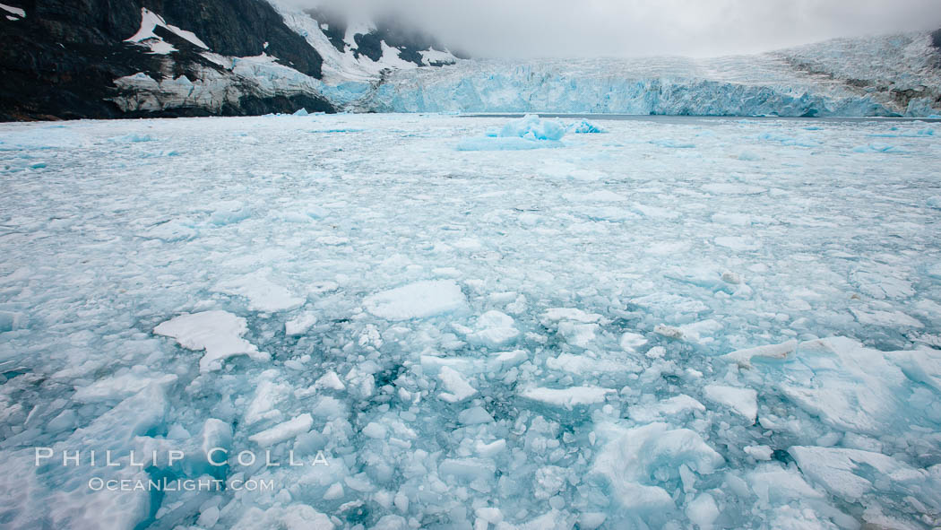 Drygalski Fjord, packed with brash ice which has broken away from the glacier at the end of the narrow fjord. South Georgia Island, natural history stock photograph, photo id 24716