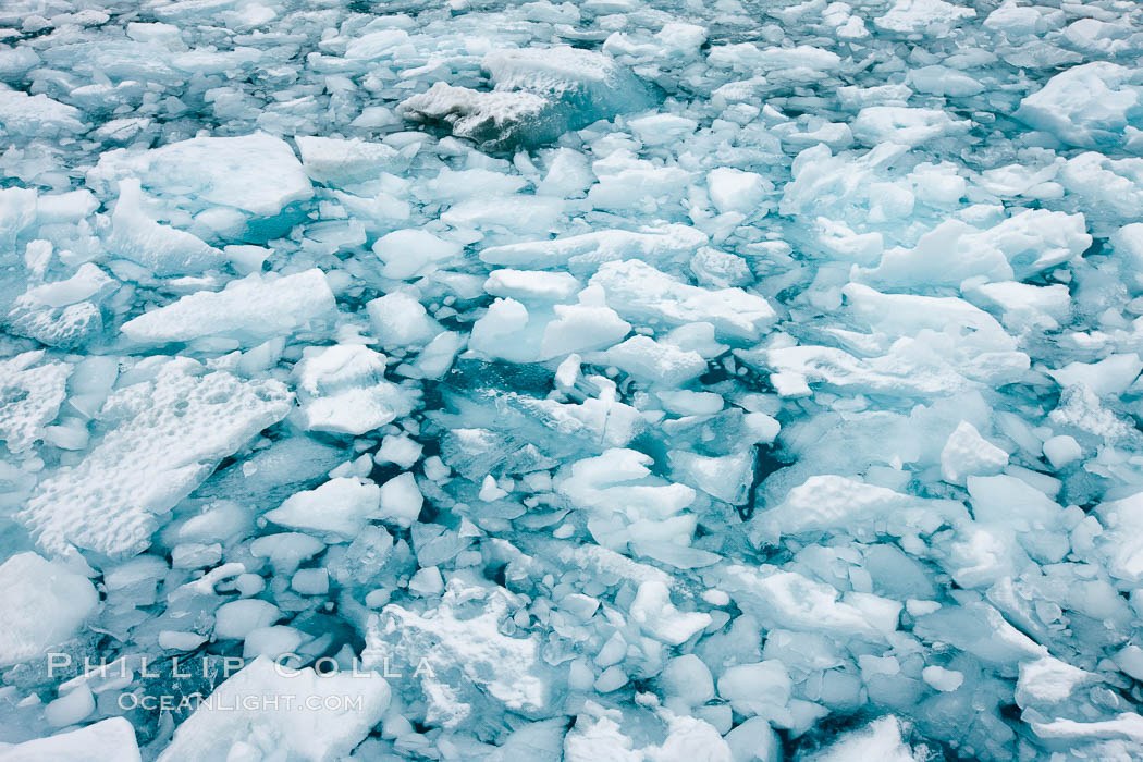 Drygalski Fjord, packed with brash ice which has broken away from the glacier at the end of the narrow fjord. South Georgia Island, natural history stock photograph, photo id 24715