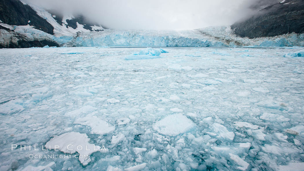 Drygalski Fjord, packed with brash ice which has broken away from Risting Glacier at the end of the narrow fjord. South Georgia Island, natural history stock photograph, photo id 24697