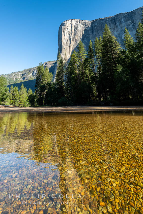 El Capitan and the Merced River, early morning, Yosemite National Park