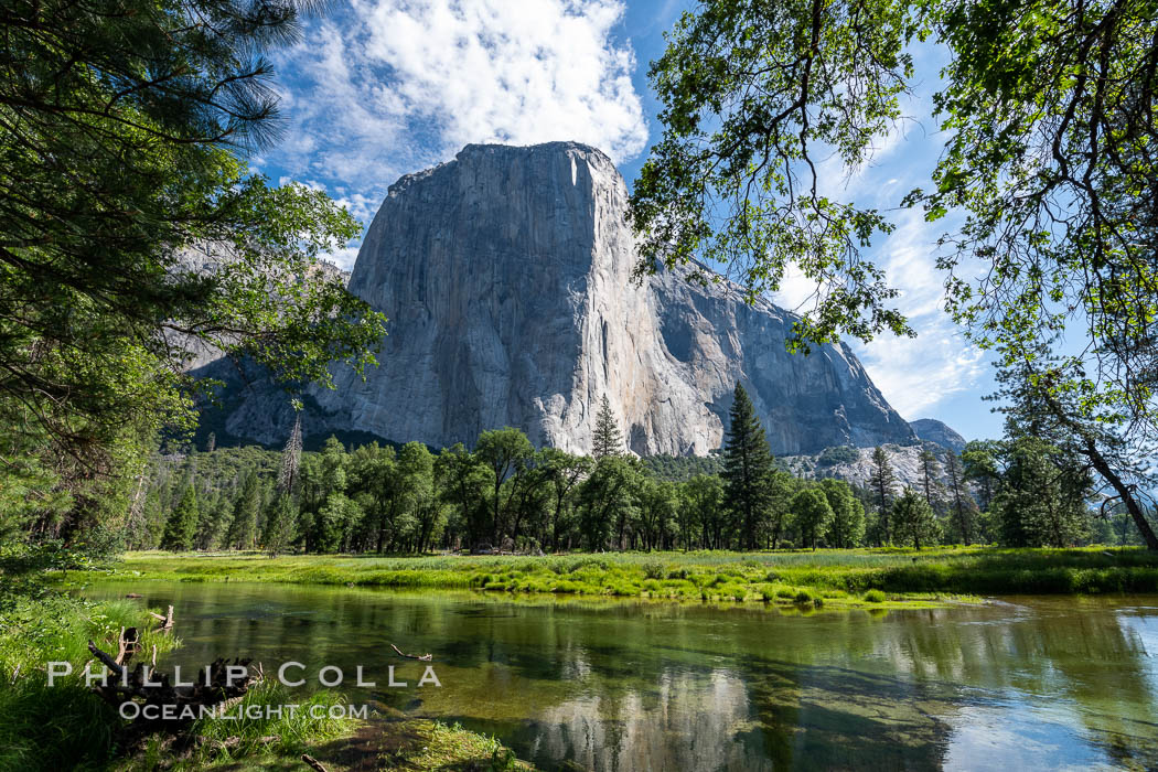 El Capitan and the Merced River in spring, Yosemite National Park. California, USA, natural history stock photograph, photo id 36358