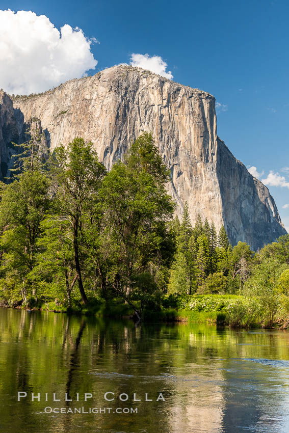 El Capitan and the Merced River in spring, Yosemite National Park El Capitan and the Merced River in spring, Yosemite National Park