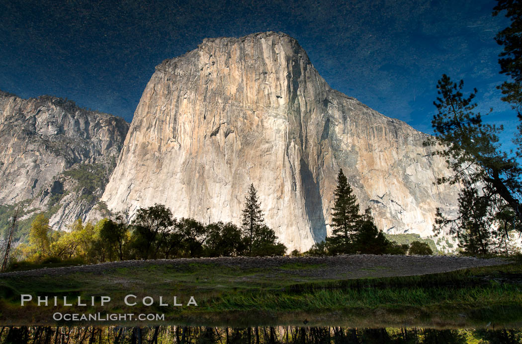El Capitan reflected in Merced River, Yosemite National Park. California, USA, natural history stock photograph, photo id 36458