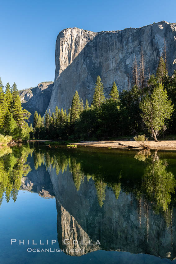 El Capitan reflection mirrored in the Merced River, Yosemite National Park. California, USA, natural history stock photograph, photo id 36352
