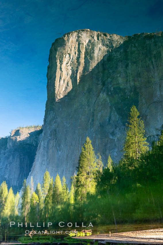 El Capitan reflection mirrored in the Merced River, Yosemite National Park. California, USA, natural history stock photograph, photo id 36351