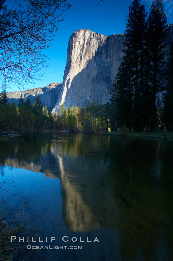 El Capitan sunrise over the Merced River. Yosemite National Park, California, USA, natural history stock photograph, photo id 12660