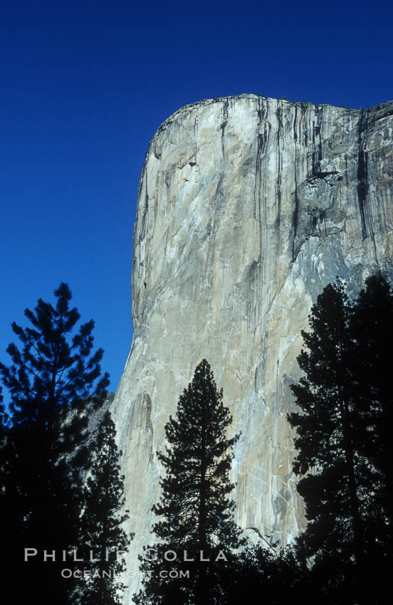 El Capitan viewed from Cathedral Beach along Merced River, Yosemite Valley. Yosemite National Park, California, USA, natural history stock photograph, photo id 07026