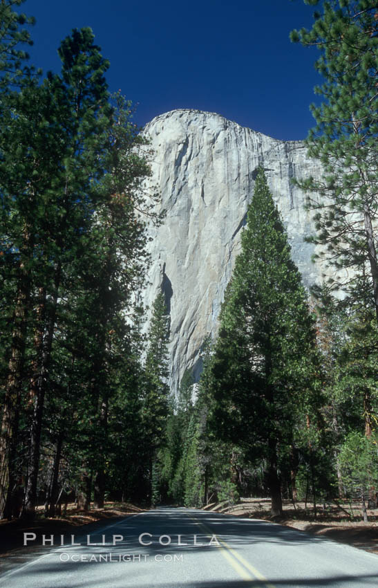 El Capitan and forest road, Yosemite Valley. Yosemite National Park, California, USA, natural history stock photograph, photo id 07028