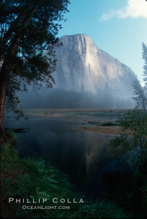 El Capitan and Merced River, morning. Yosemite National Park, California, USA, natural history stock photograph, photo id 02331