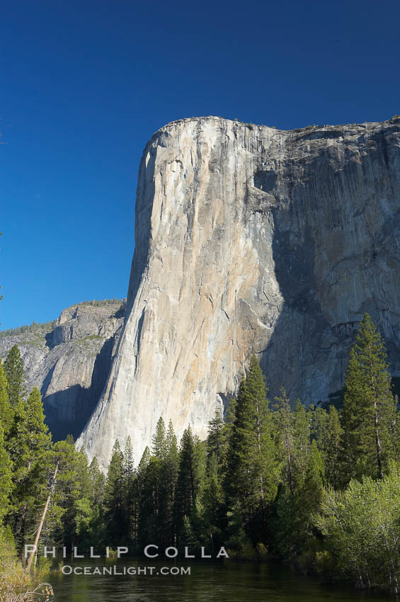 El Capitan rises above the Merced River, Yosemite Valley. Yosemite National Park, California, USA, natural history stock photograph, photo id 16103