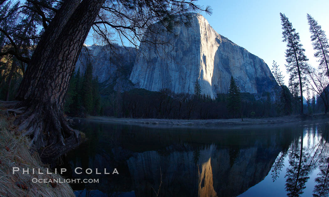 El Capitan, rises above the Merced River at sunrise. Yosemite National Park, California, USA, natural history stock photograph, photo id 22783