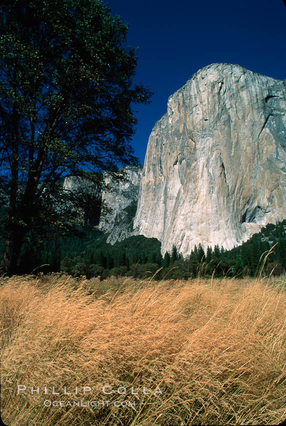 El Capitan, autumn. Yosemite National Park, California, USA, natural history stock photograph, photo id 02329