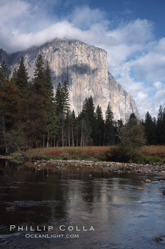 El Capitan and Merced River, Yosemite Valley. Yosemite National Park, California, USA, natural history stock photograph, photo id 05413