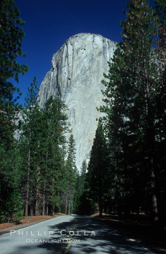 El Capitan and shaded road, Yosemite Valley. Yosemite National Park, California, USA, natural history stock photograph, photo id 07137