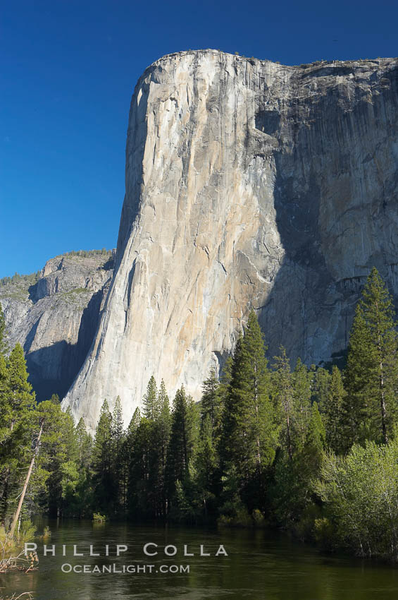 El Capitan rises above the Merced River, Yosemite Valley. Yosemite National Park, California, USA, natural history stock photograph, photo id 16101