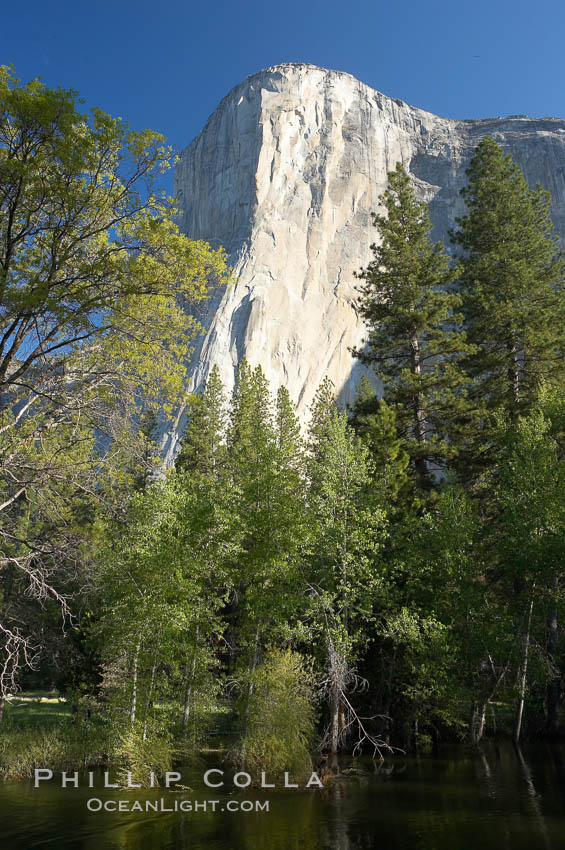 El Capitan rises above the Merced River, Yosemite Valley. Yosemite National Park, California, USA, natural history stock photograph, photo id 16105