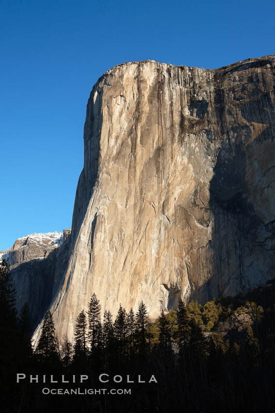 El Capitan eastern face, sunrise. Yosemite National Park, California, USA, natural history stock photograph, photo id 22745